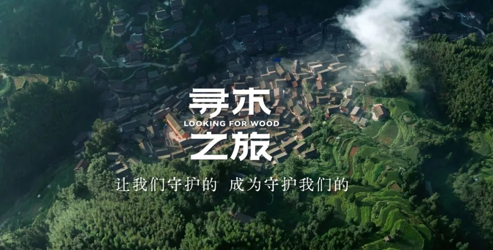 凯发官网寻木之旅IP-《与木共生》荣获第25届IAI传鉴国际广告·整合营销铜奖